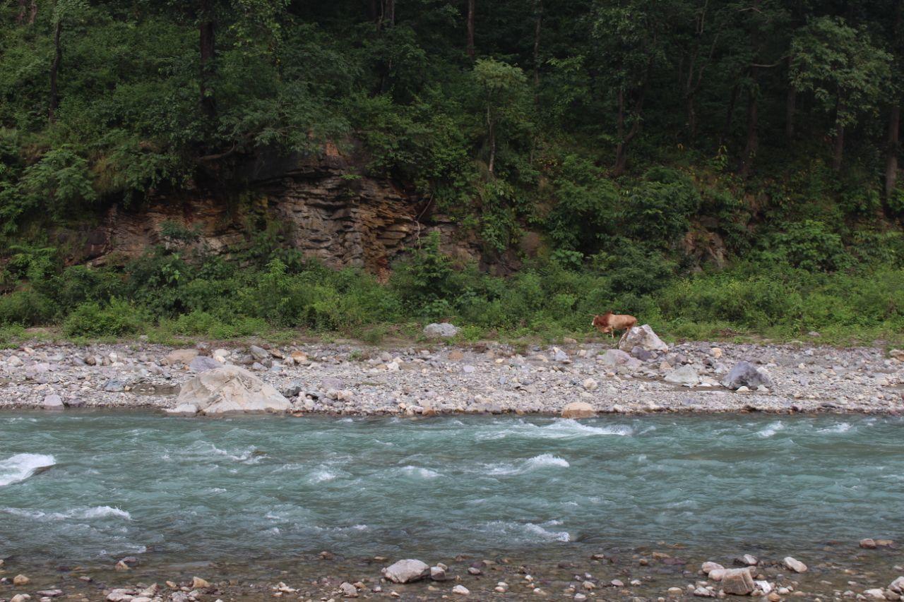 Rattapani Resort Rishikesh Bagian luar foto